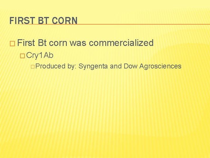 FIRST BT CORN � First Bt corn was commercialized � Cry 1 Ab �