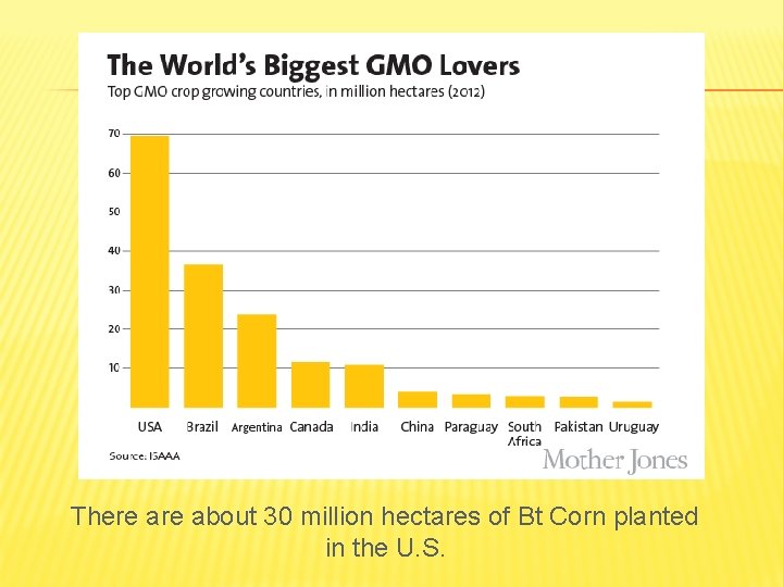 There about 30 million hectares of Bt Corn planted in the U. S. 