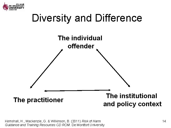 Diversity and Difference The individual offender The practitioner The institutional and policy context Kemshall,