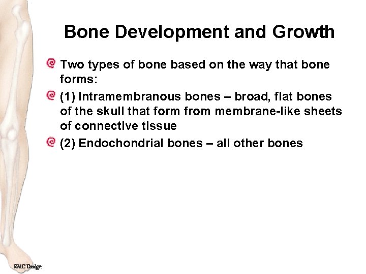 Bone Development and Growth Two types of bone based on the way that bone