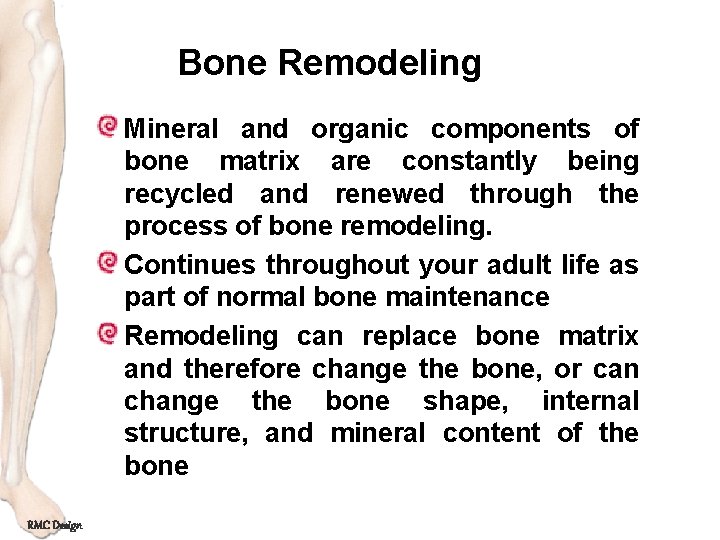 Bone Remodeling Mineral and organic components of bone matrix are constantly being recycled and