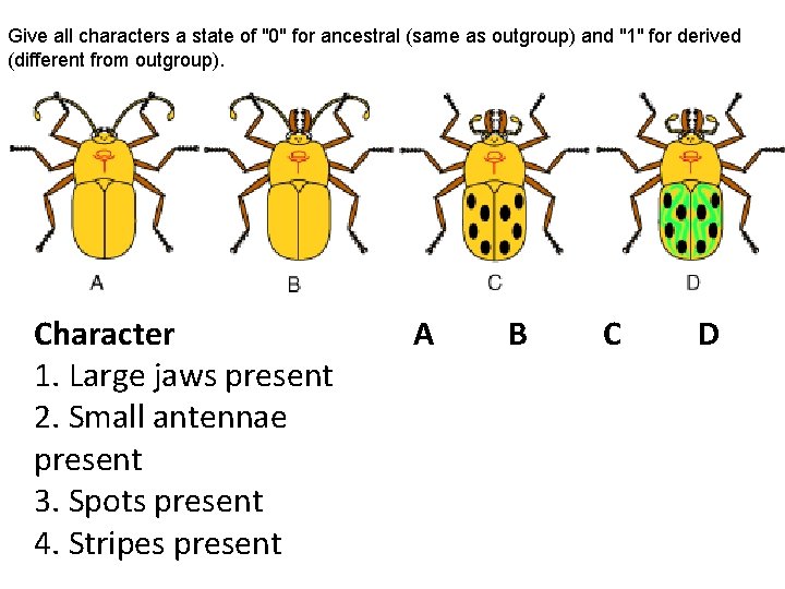 Give all characters a state of "0" for ancestral (same as outgroup) and "1"
