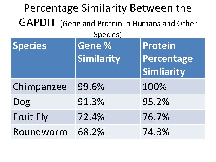 Percentage Similarity Between the GAPDH (Gene and Protein in Humans and Other Species) Species