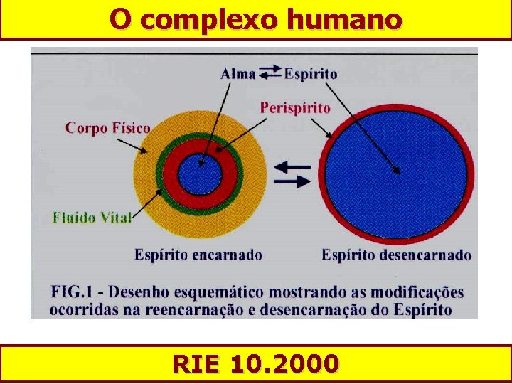 O complexo humano RIE 10. 2000 