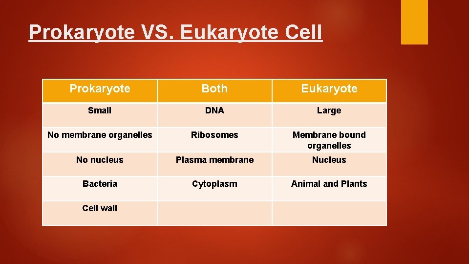 Prokaryote VS. Eukaryote Cell Prokaryote Both Eukaryote Small DNA Large No membrane organelles Ribosomes