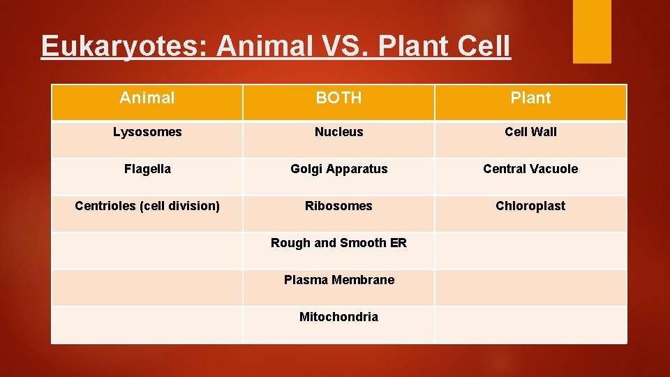 Eukaryotes: Animal VS. Plant Cell Animal BOTH Plant Lysosomes Nucleus Cell Wall Flagella Golgi
