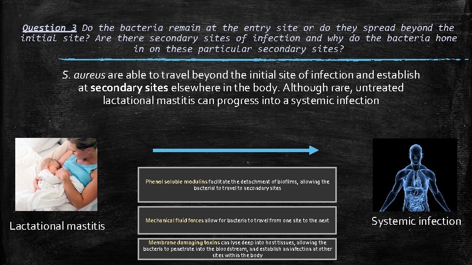 Question 3 Do the bacteria remain at the entry site or do they spread