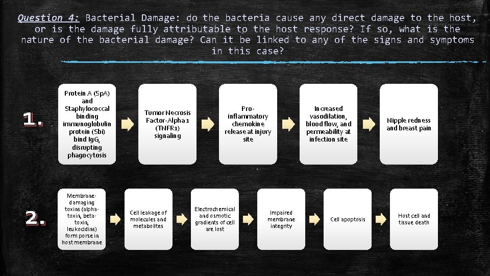 Question 4: Bacterial Damage: do the bacteria cause any direct damage to the host,