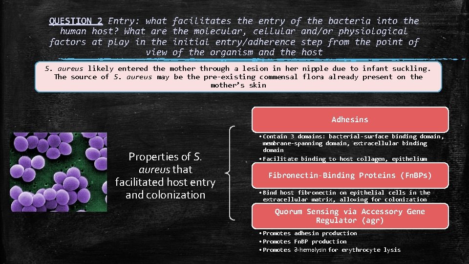 QUESTION 2 Entry: what human host? What are factors at play in the view