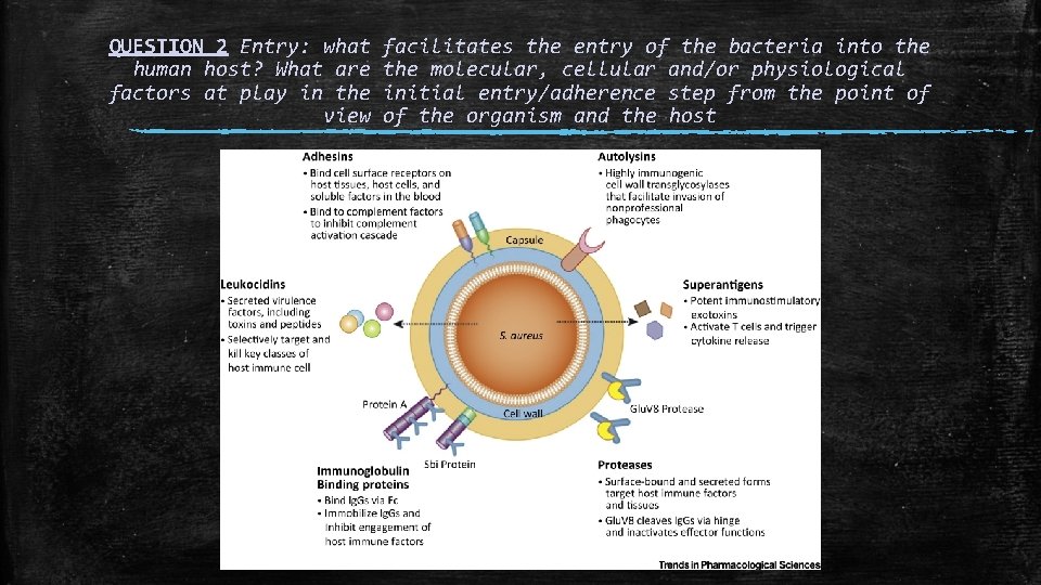 QUESTION 2 Entry: what human host? What are factors at play in the view