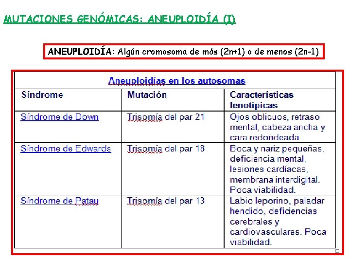 MUTACIONES GENÓMICAS: ANEUPLOIDÍA (I) ANEUPLOIDÍA: Algún cromosoma de más (2 n+1) o de menos