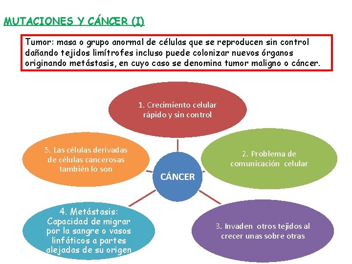 MUTACIONES Y CÁNCER (I) Tumor: masa o grupo anormal de células que se reproducen