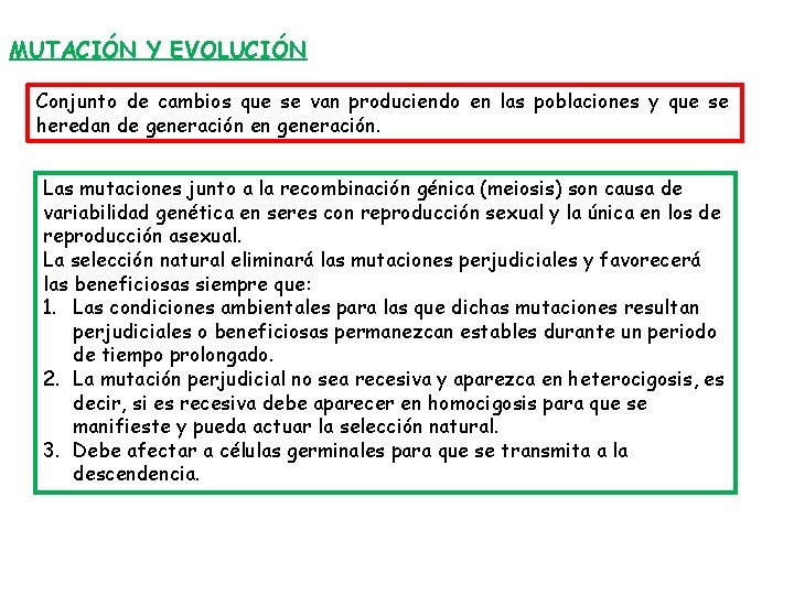 MUTACIÓN Y EVOLUCIÓN Conjunto de cambios que se van produciendo en las poblaciones y