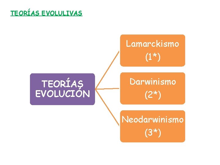 TEORÍAS EVOLULIVAS Lamarckismo (1*) TEORÍAS EVOLUCIÓN Darwinismo (2*) Neodarwinismo (3*) 