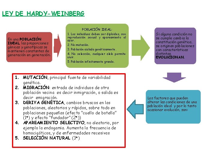 LEY DE HARDY-WEINBERG En una POBLACIÓN IDEAL, las proporciones génicas y genotípicas se mantienen