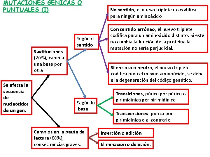 MUTACIONES GÉNICAS O PUNTUALES (I) Según el sentido Sustituciones (20%), cambia una base por