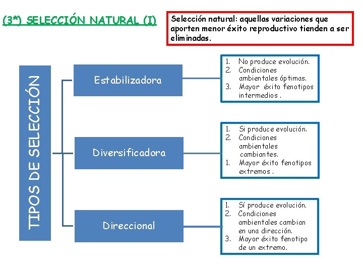 TIPOS DE SELECCIÓN (3*) SELECCIÓN NATURAL (I) Estabilizadora Selección natural: aquellas variaciones que aporten