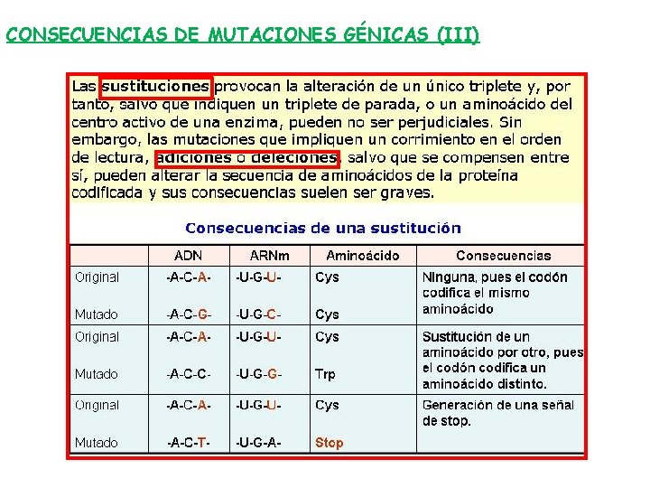 CONSECUENCIAS DE MUTACIONES GÉNICAS (III) 