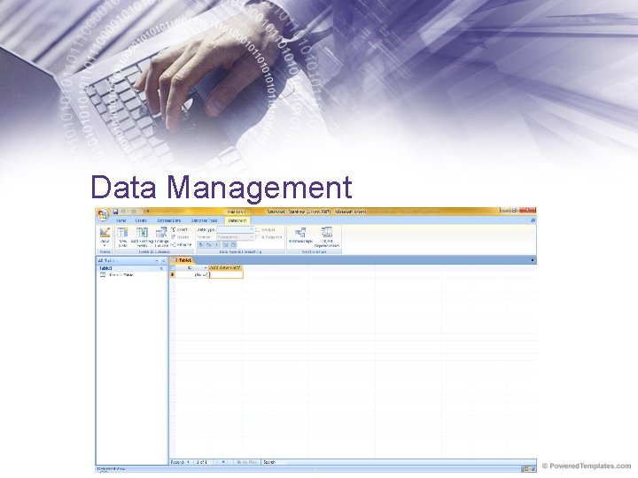 Data Management 