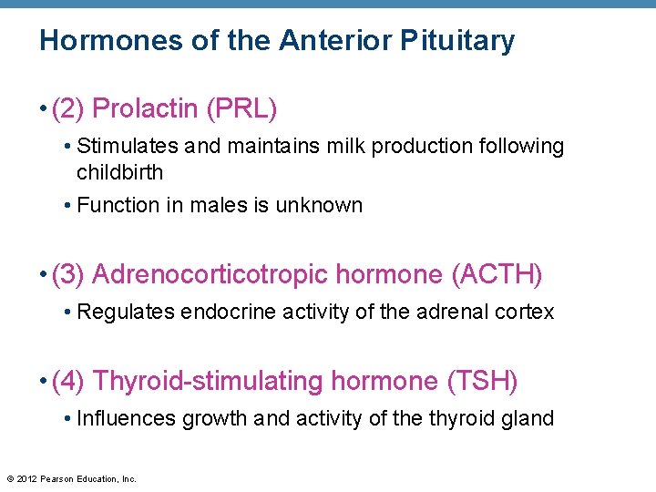 Hormones of the Anterior Pituitary • (2) Prolactin (PRL) • Stimulates and maintains milk