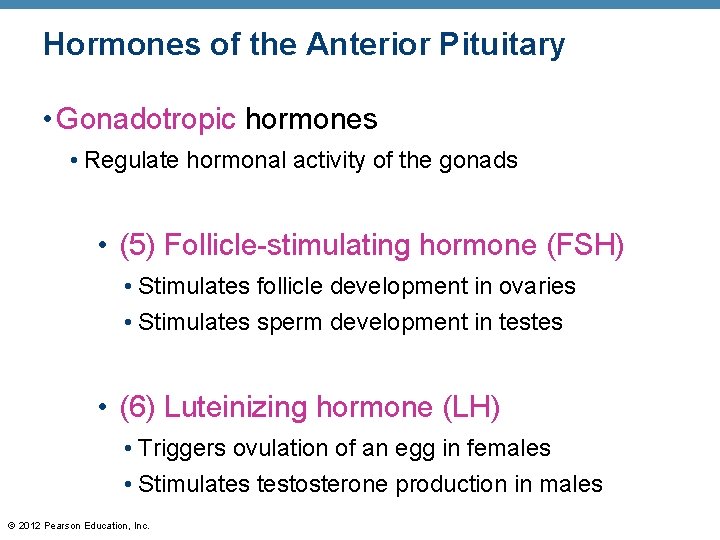 Hormones of the Anterior Pituitary • Gonadotropic hormones • Regulate hormonal activity of the