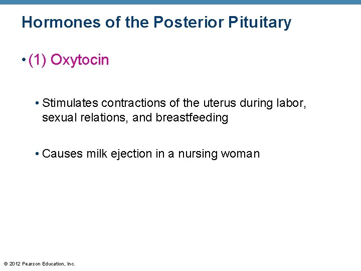 Hormones of the Posterior Pituitary • (1) Oxytocin • Stimulates contractions of the uterus