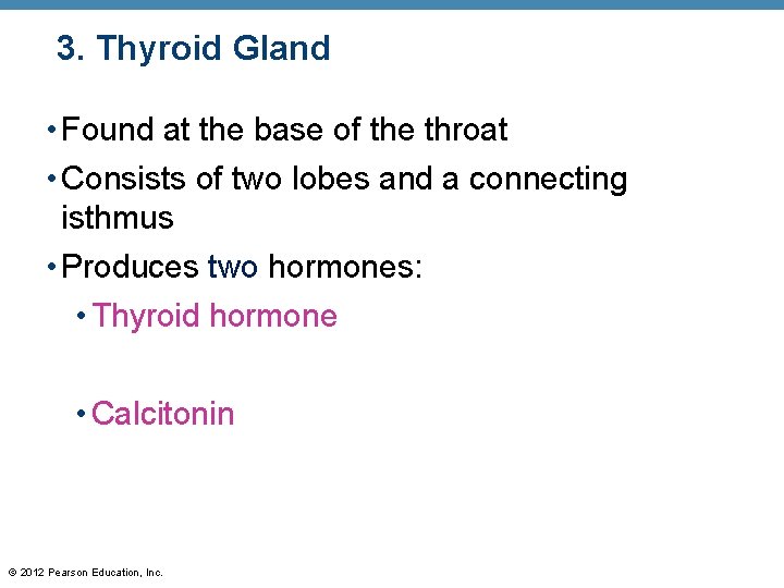 3. Thyroid Gland • Found at the base of the throat • Consists of