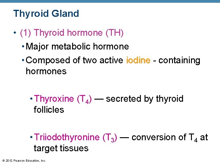 Thyroid Gland • (1) Thyroid hormone (TH) • Major metabolic hormone • Composed of