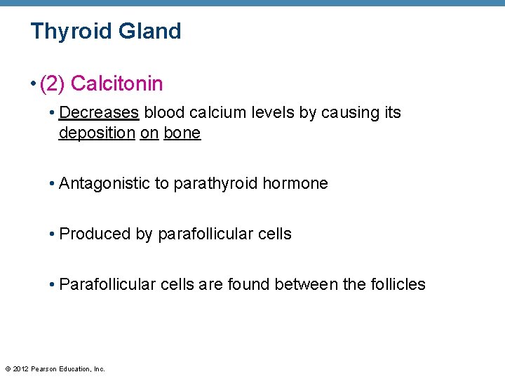 Thyroid Gland • (2) Calcitonin • Decreases blood calcium levels by causing its deposition