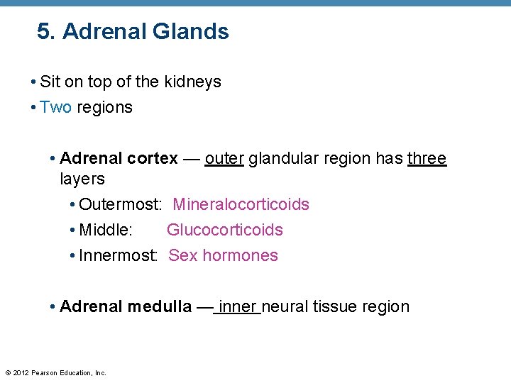 5. Adrenal Glands • Sit on top of the kidneys • Two regions •