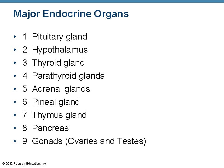 Major Endocrine Organs • • • 1. Pituitary gland 2. Hypothalamus 3. Thyroid gland