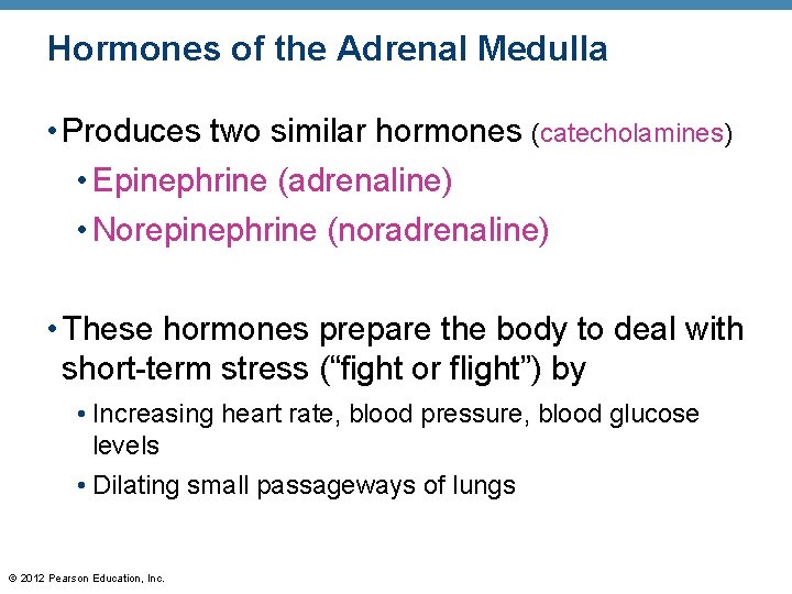 Hormones of the Adrenal Medulla • Produces two similar hormones (catecholamines) • Epinephrine (adrenaline)