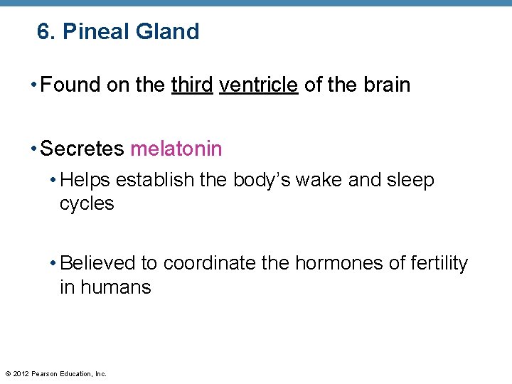 6. Pineal Gland • Found on the third ventricle of the brain • Secretes