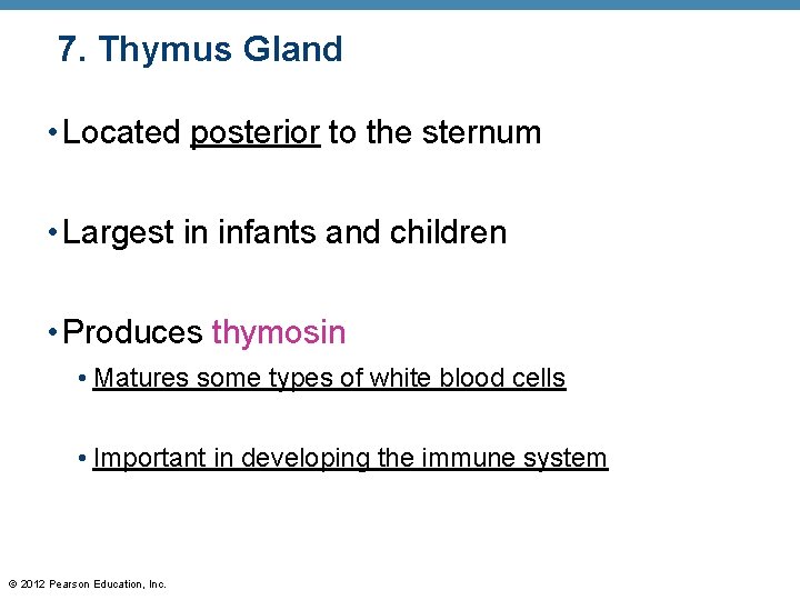 7. Thymus Gland • Located posterior to the sternum • Largest in infants and