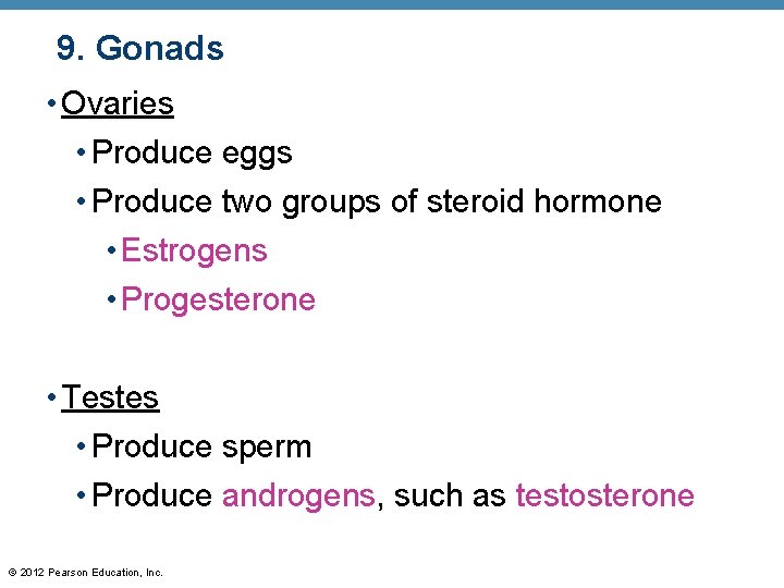 9. Gonads • Ovaries • Produce eggs • Produce two groups of steroid hormone