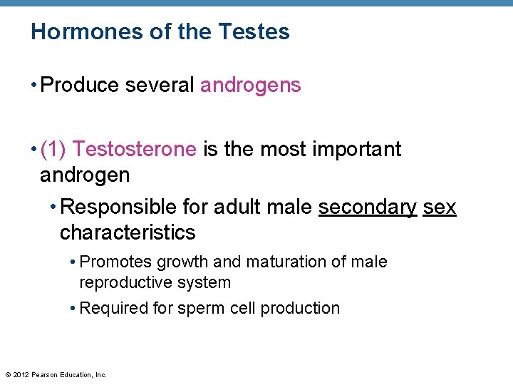 Hormones of the Testes • Produce several androgens • (1) Testosterone is the most