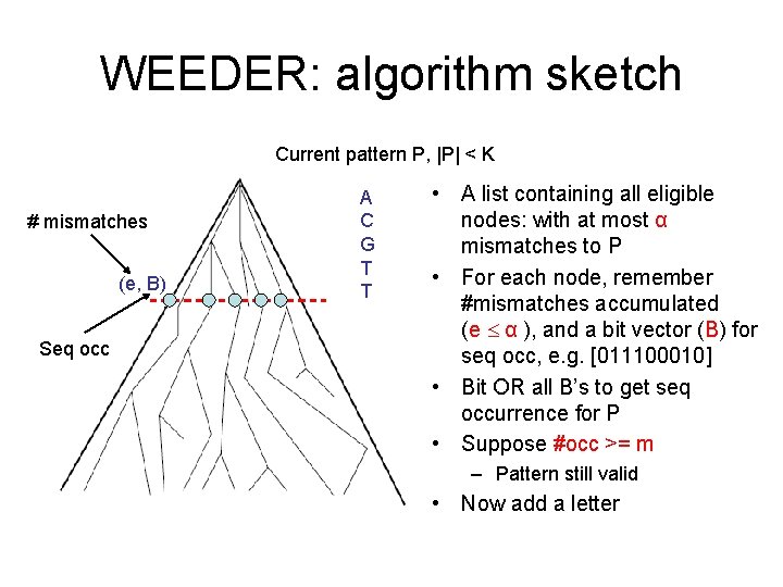 WEEDER: algorithm sketch Current pattern P, |P| < K # mismatches (e, B) Seq