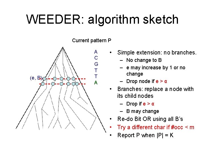 WEEDER: algorithm sketch Current pattern P (e, B) A C G T T A