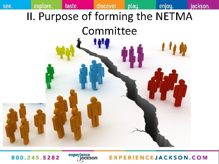 II. Purpose of forming the NETMA Committee 