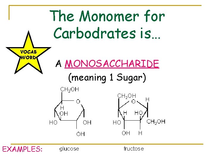 The Monomer for Carbodrates is… VOCAB WORD EXAMPLES: A MONOSACCHARIDE (meaning 1 Sugar) 