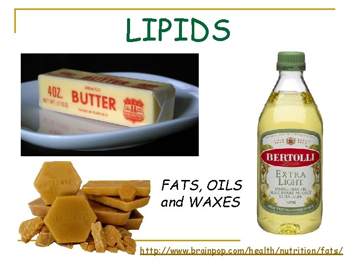 LIPIDS FATS, OILS and WAXES http: //www. brainpop. com/health/nutrition/fats/ 