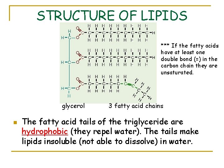 STRUCTURE OF LIPIDS *** If the fatty acids have at least one double bond