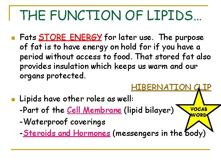 THE FUNCTION OF LIPIDS… n n Fats STORE ENERGY for later use. The purpose