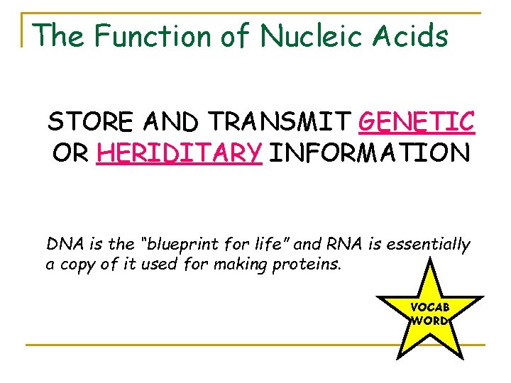 The Function of Nucleic Acids STORE AND TRANSMIT GENETIC OR HERIDITARY INFORMATION DNA is