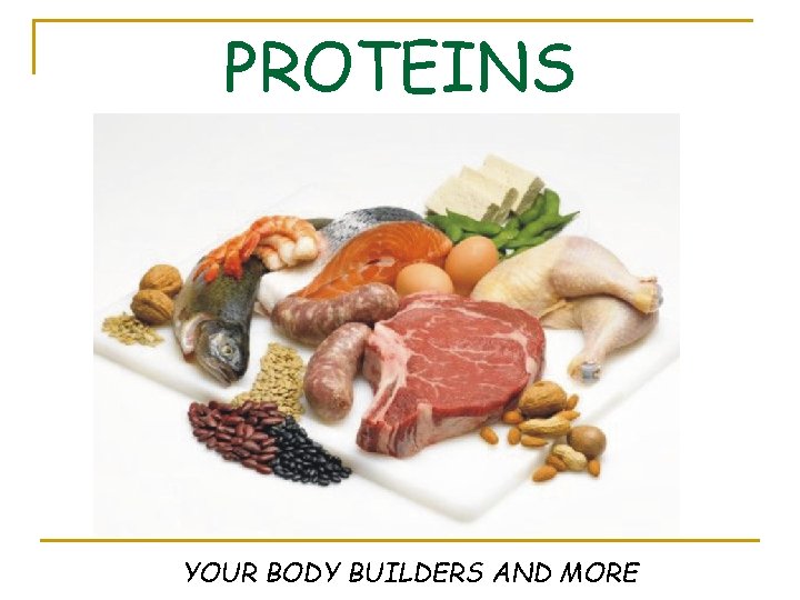 PROTEINS YOUR BODY BUILDERS AND MORE 