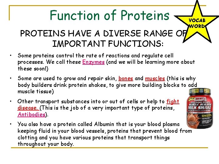 Function of Proteins PROTEINS HAVE A DIVERSE RANGE OF IMPORTANT FUNCTIONS: VOCAB WORD •