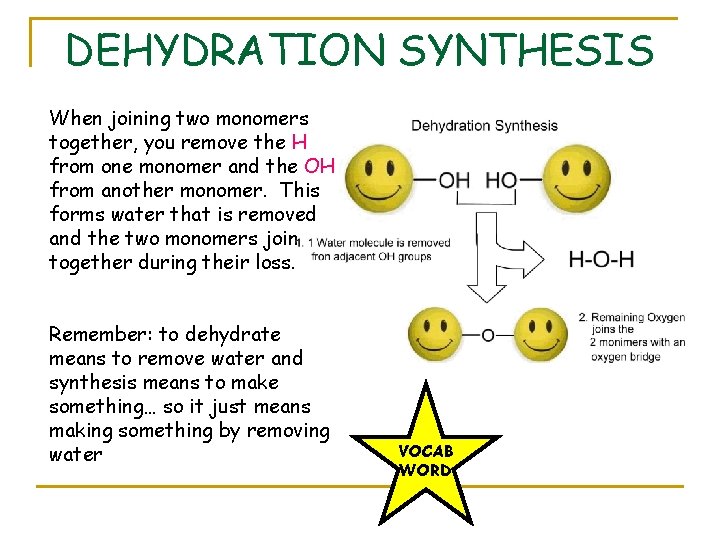 DEHYDRATION SYNTHESIS When joining two monomers together, you remove the H from one monomer