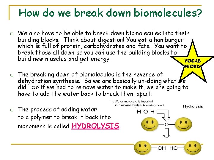 How do we break down biomolecules? q We also have to be able to