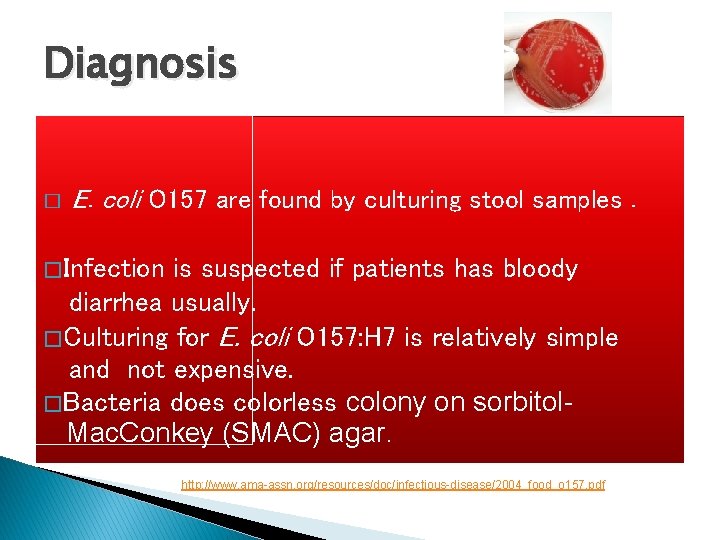Diagnosis � E. coli O 157 are found by culturing stool samples. � Infection