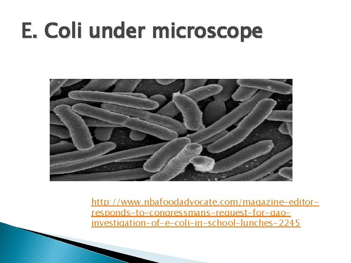 E. Coli under microscope http: //www. nbafoodadvocate. com/magazine-editorresponds-to-congressmans-request-for-gaoinvestigation-of-e-coli-in-school-lunches-2245 
